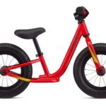 bicicleta de equilibrio