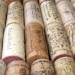melhores vinhos argentinos