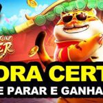 melhores horários para jogar fortune tiger