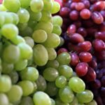 melhores uvas para vinho