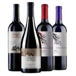 vinhos chilenos