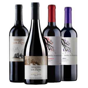 Os Melhores Vinhos Chilenos de 2026