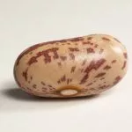 melhores feijao marcas