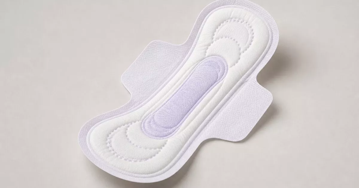 melhores absorventes tipos