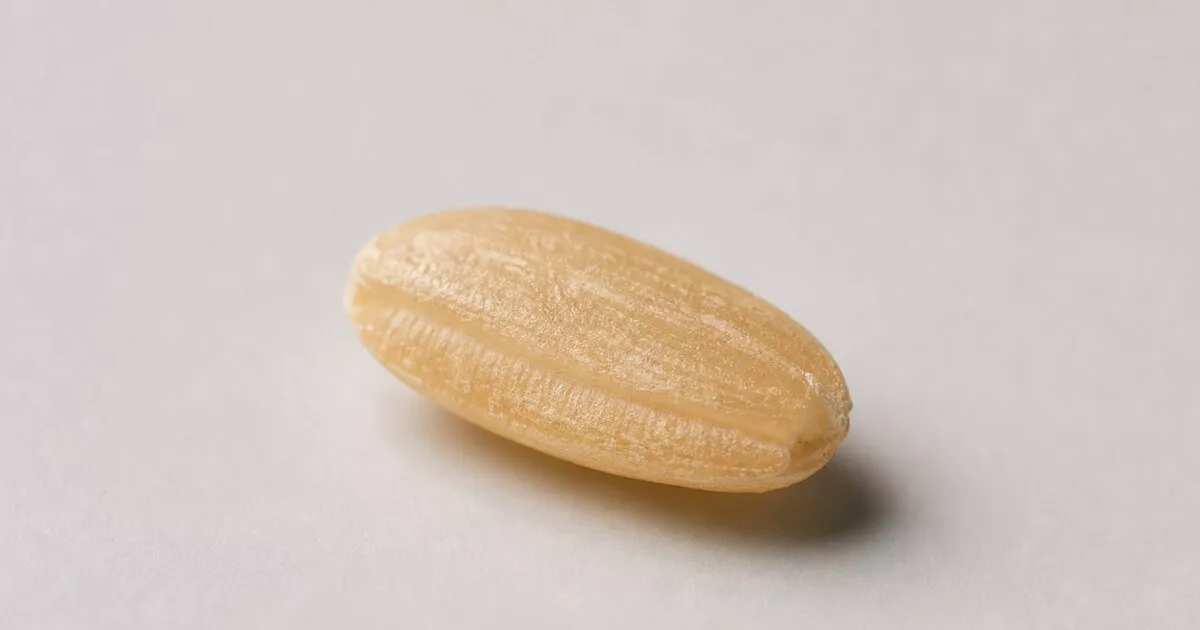 Os 10 Melhores Arroz Integral de 2026