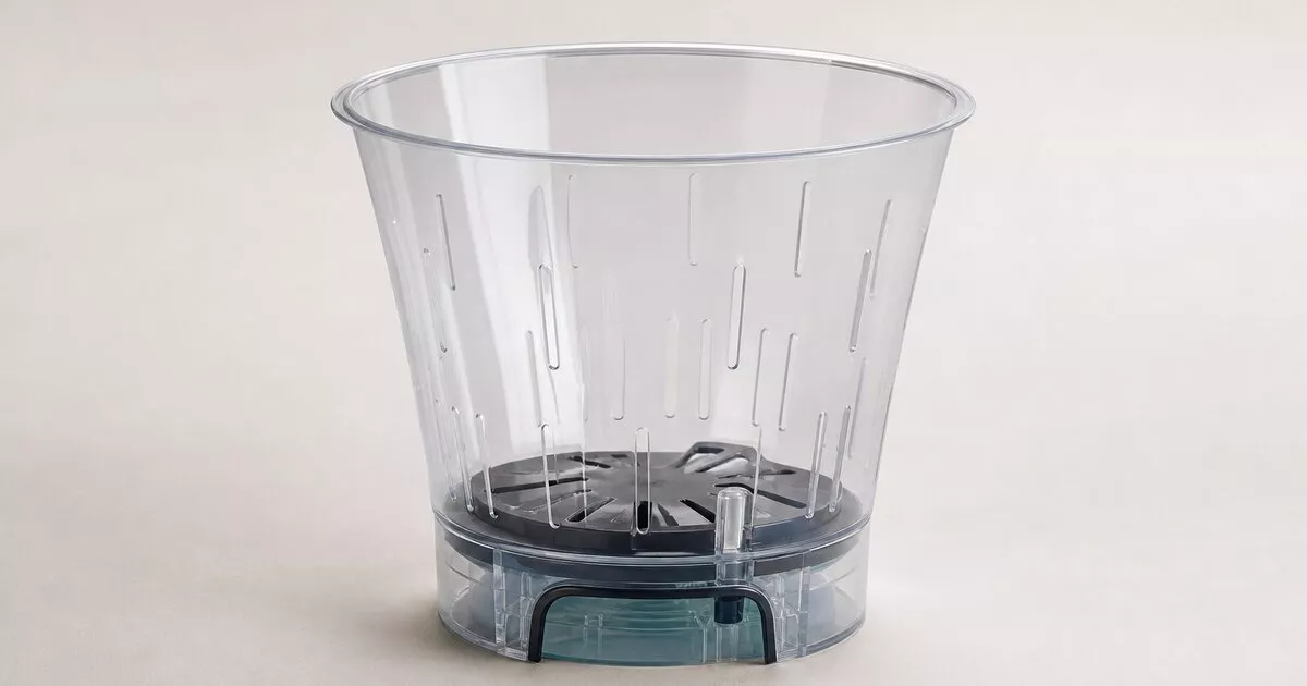Os 10 Melhores Vasos para Orquídeas de 2026