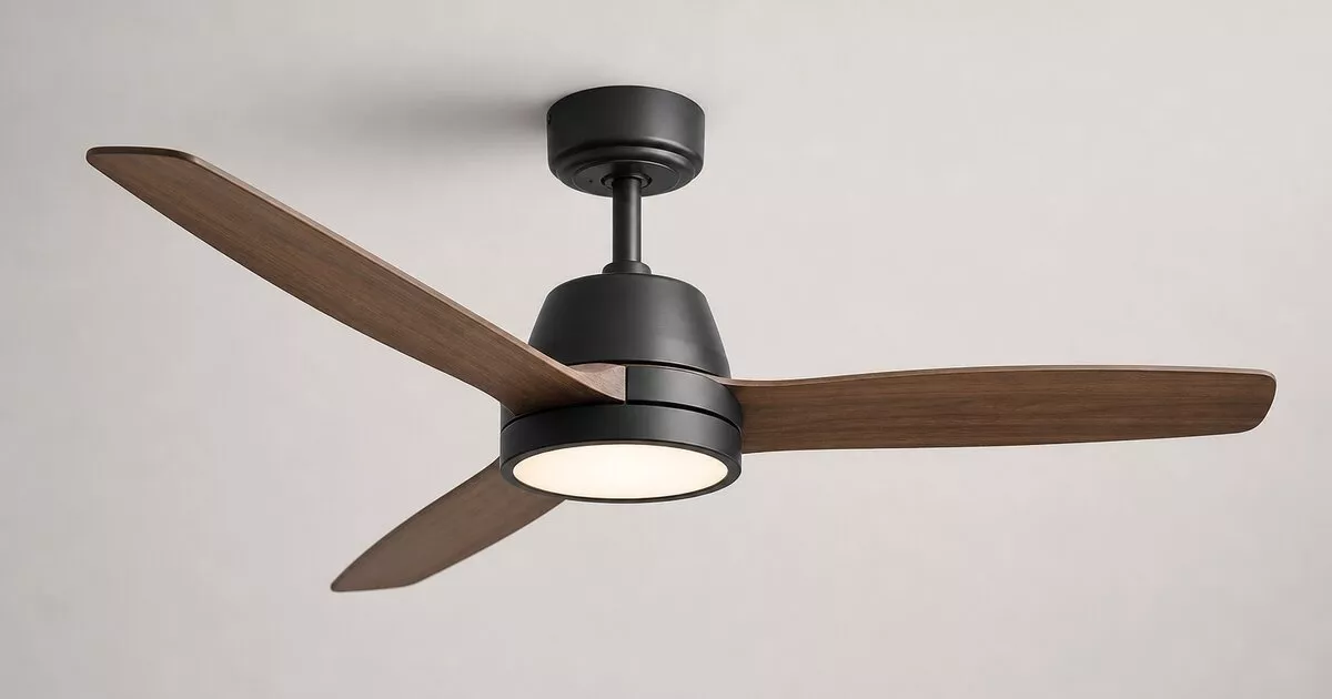 Os 8 Melhores Ventiladores de Teto com Controle Remoto de 2026