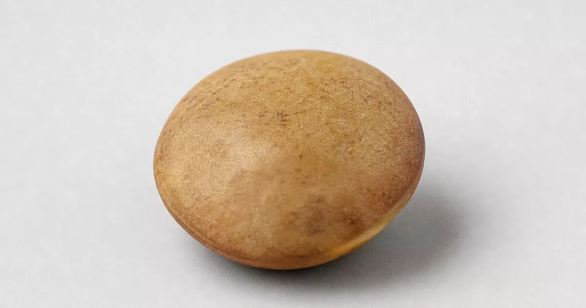 melhores tipos de lentilha